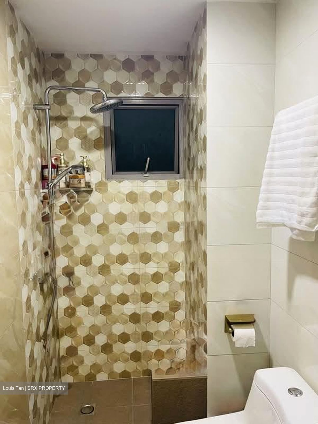 Azalea Park Condominium (D17), Condominium #580436411